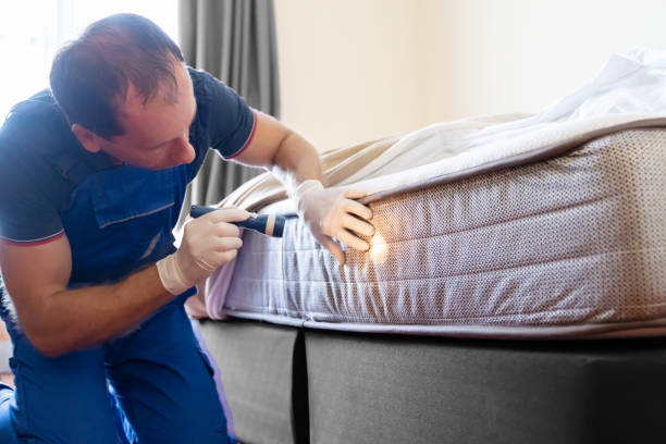 Best Bed Bug Extermination  in Ancient Oaks, PA